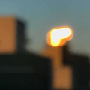 丰满少妇人妻无码
