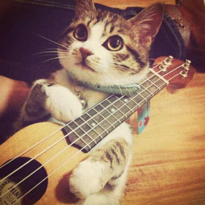 丰满少妇人妻无码
