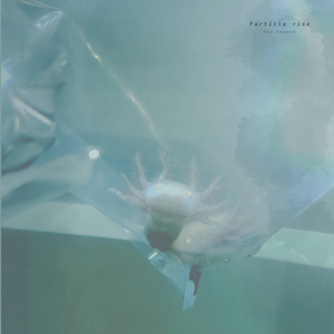 丰满少妇人妻无码
